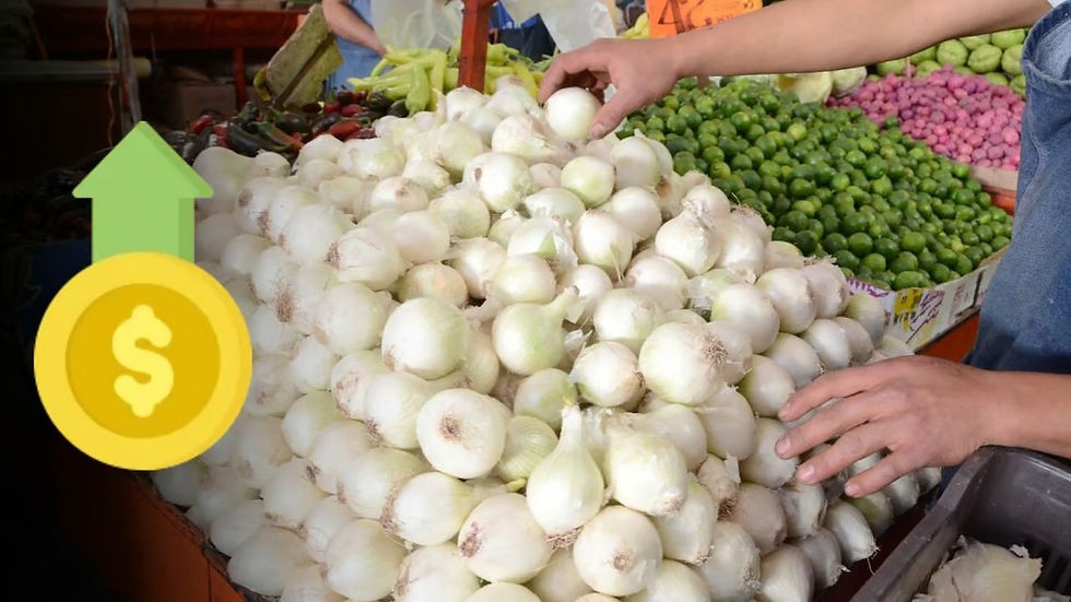 Afectan lluvias al campo y encarecen hasta 100% los básicos