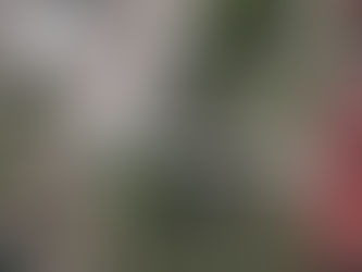 #Tamaulipas// Derrame de hidrocarburo contamina el río Pánuco tras lluvias en el sur de Tamaulipas