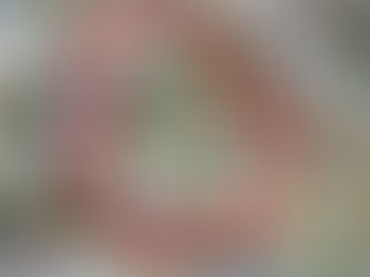 #Chihuahua // Recorta Federación 51% de fondos a Chihuahua; es la segunda caída más fuerte del país