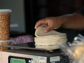 #Durango || Industria de la tortilla se suma al apoyo por un precio justo del maíz para agricultores