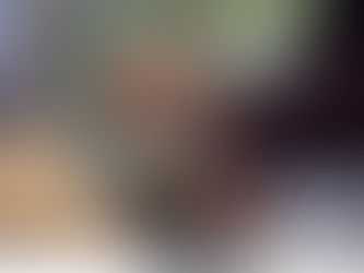 Paz en siguientes comicios electorales