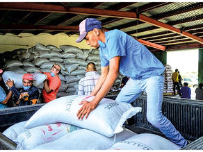 #Reportaje || Productores alzan la voz frente al abandono de Morena