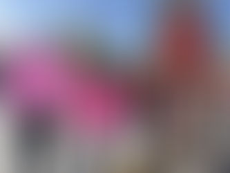 #SanLuisPotosí // 𝐸𝑠𝑡𝑢𝑑𝑖𝑎𝑛𝑡𝑒𝑠 𝑝𝑜𝑡𝑜𝑠𝑖𝑛𝑜𝑠 𝑠𝑒 𝑚𝑎𝑛𝑖𝑓𝑖𝑒𝑠𝑡𝑎𝑛 𝑒𝑛 𝑙𝑎 𝑐𝑎𝑝𝑖𝑡𝑎𝑙 potosina 𝑒𝑛 𝑠𝑜𝑙𝑖𝑑𝑎𝑟𝑖𝑑𝑎𝑑 𝑐𝑜𝑛 los 𝑜𝑎𝑥𝑎𝑞𝑢𝑒ñ𝑜𝑠