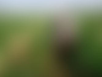 #Chihuahua // Podrían perder subsidio eléctrico casi 600 productores de la región de Jiménez