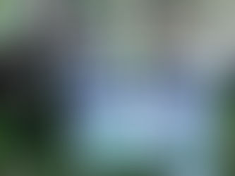 Podcast: Advocating for Police Accountability and Mental Health Crisis Response: A Year Later with Miles Hall's Family