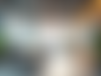 Expert Tips for Successful Commercial Renovations