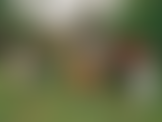 Assombro de Bixo lança “Xote Sem Futuro” faixa sonoridade nordestina