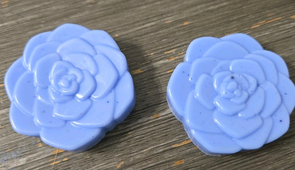 Thumbnail: Small Flowers