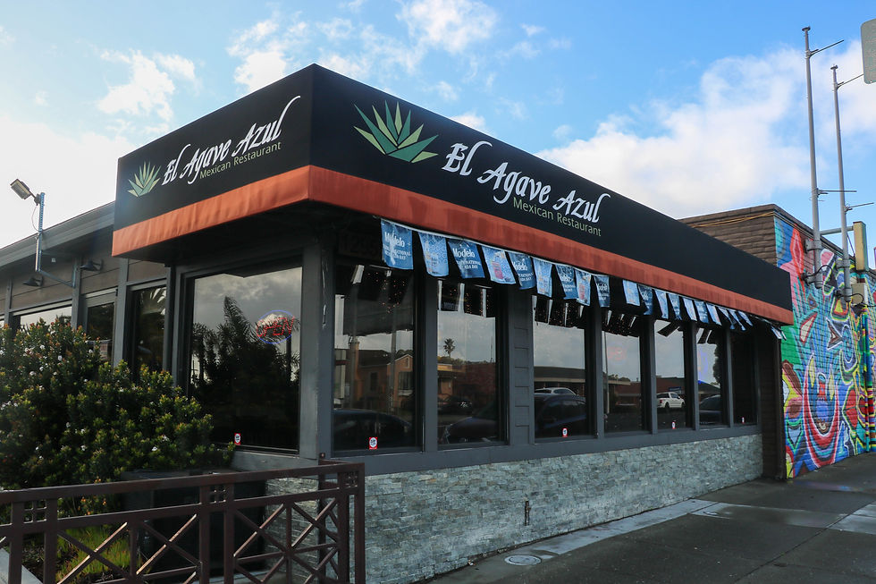 exterior2_agaveazul.jpg