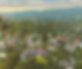 Screenshot 2023-04-23 at 4.27.59 PM.png