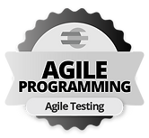agile-programming-agile-testing.png