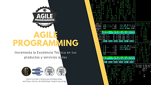 TGI_Screen_AgileProgramming.png