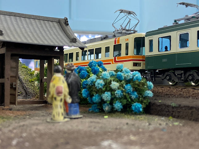 Ajisai&Train.jpg