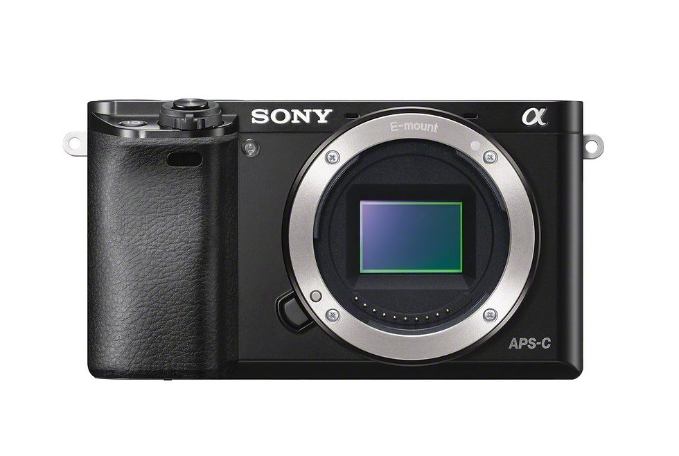 Sony A6000 used camera body rear view
