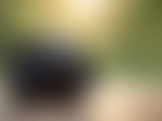 Top Affordable Cameras for Stunning Pro-Quality Photos in 2026
