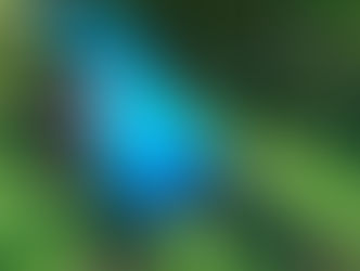 Lockdown classes, drills, and thrills