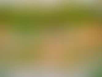 How exercise supports immunity