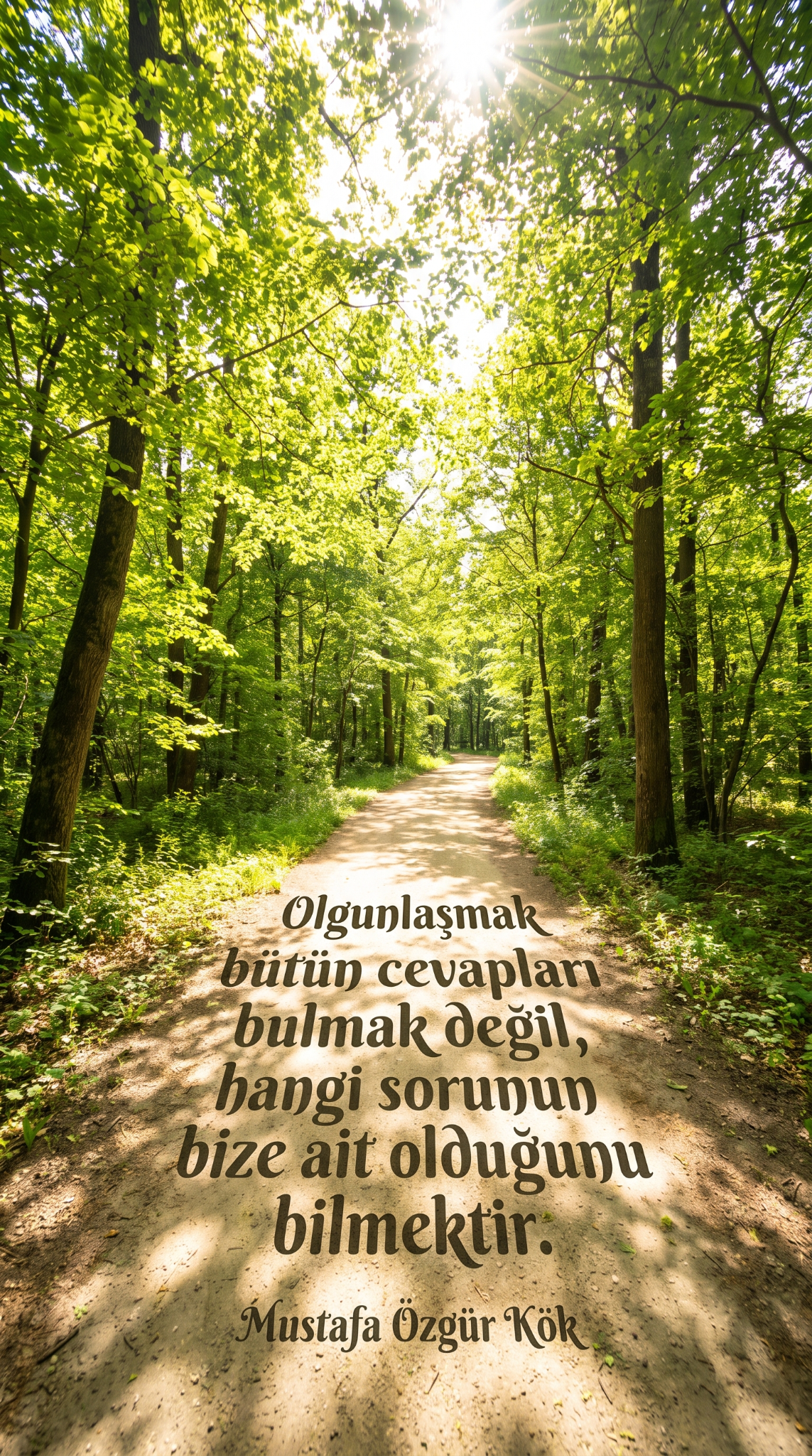 Olgunlaşmak bütün cevapları bulmak değil, hangi sorunun bize ait olduğunu bilmektir.