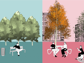 El Urbanismo Transecto: Integrando la Variedad en el Diseño Urbano a través del Tejido Narrativo