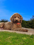 photoroom-20250219_192008.png