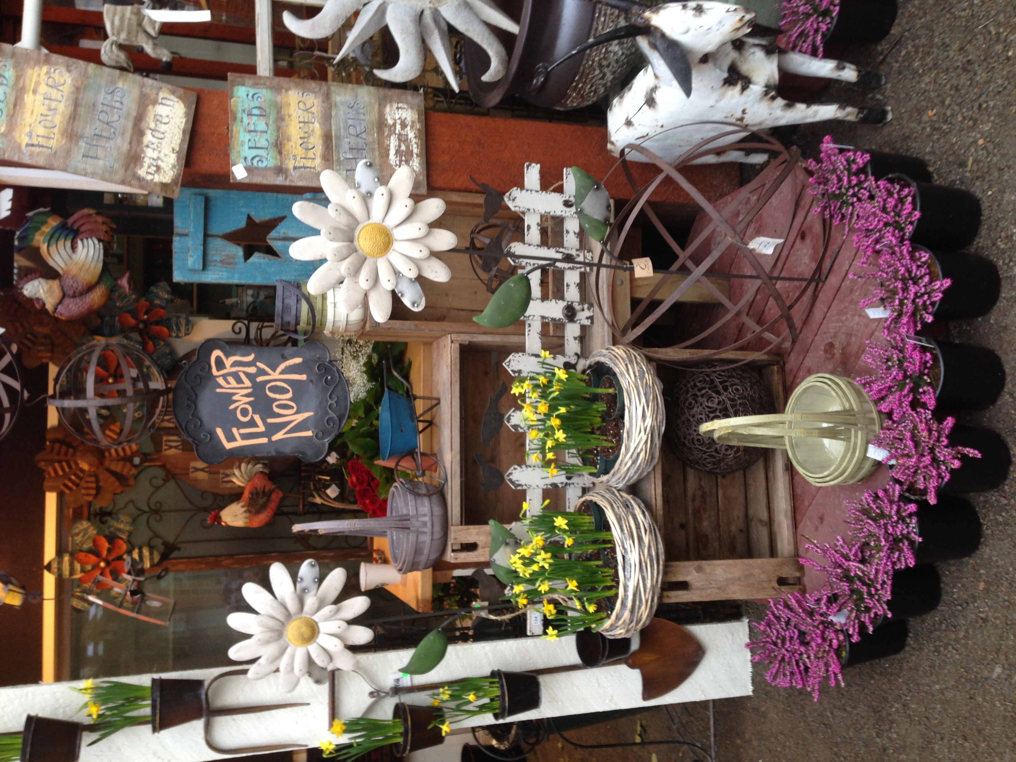 Sunshine Coast Nursery & Flower Store