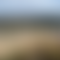 4/20: Hollywood Sign via Innsdale Trail and Mt Lee Drive w/ Kaitlynn Sandstrom-Mistry