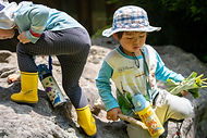 20200610-ぽっちトトロの森-398.jpeg