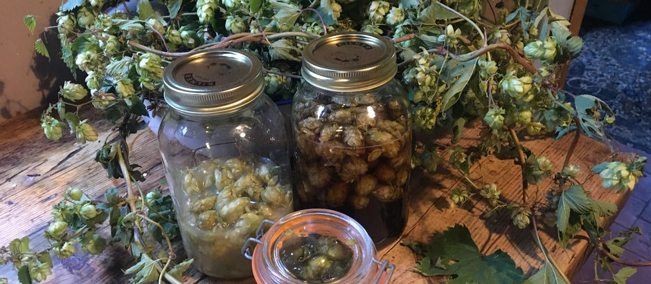 Hops and jars