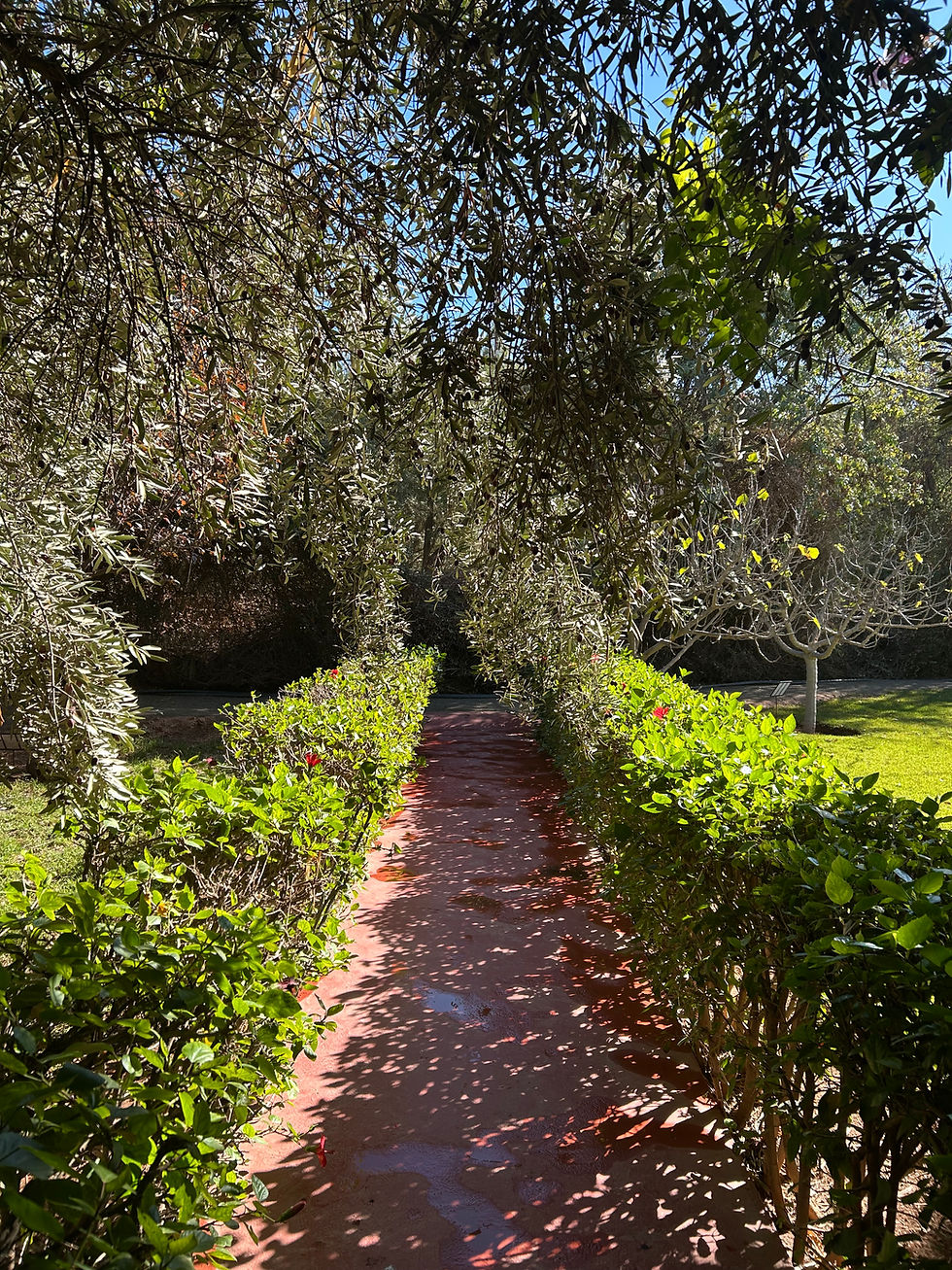 green hedging with trees and blue sky above