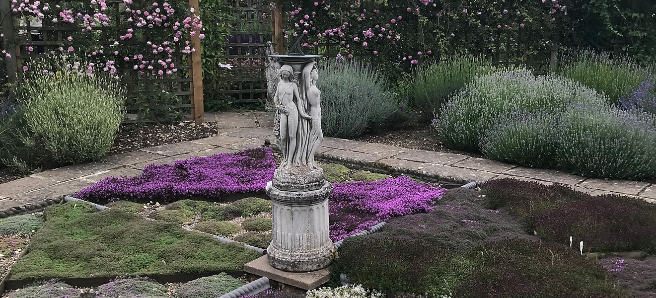 stone statue of naked females surrounded by thyme palnts and lavender 