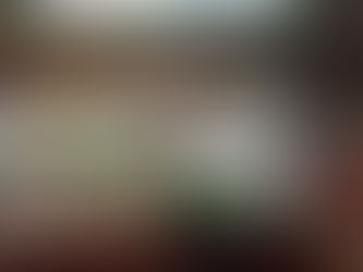 Festive Foraging - Make Your Own Natural Christmas Wreath