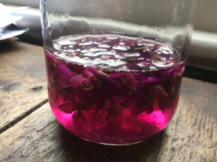 glass jar with purple liquid containing violet flowers