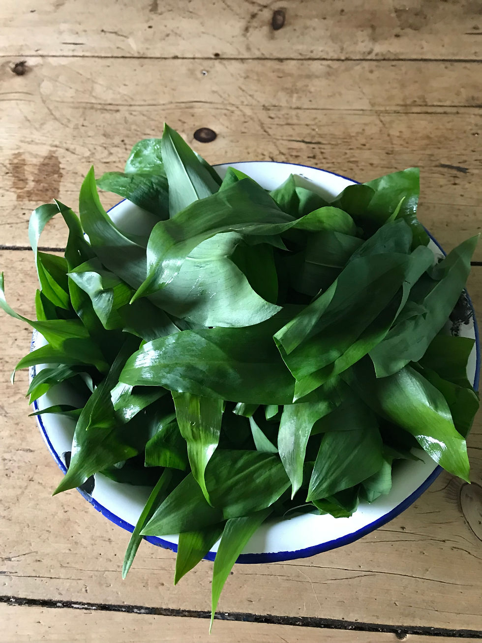 green leaves in enamel bowl