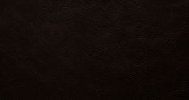 Leather.jpg