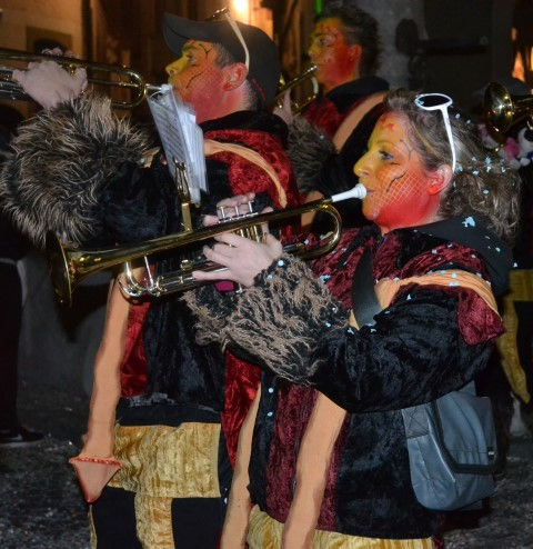 Carna Sion 24.02.2017 (35) (Small)