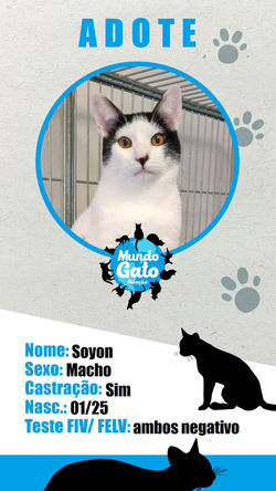 Soyon