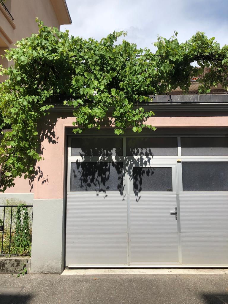 beaugarage et sa vigne