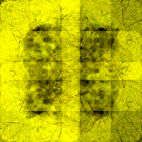 Yellow and charcoal abstract digital artwork derived from a photo of a sheep skull on a farm.
EXCELLENT RESOLUTION TO 80x80CM