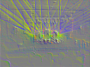 Q/ WHAT LINKS A ROCK CONCERT TO SQUIRRELS? A/ STROBE LIGHTS