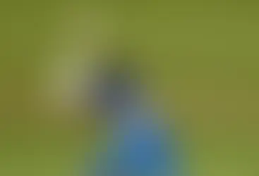 Women On The Cricket Pitch