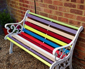 the back of my backyard