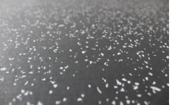 Thumbnail: White Speckled Gym Flooring