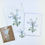 Thumbnail: Forget Me Not Vinyl Wildflower Sticker, Wildflower Art,  Fiddlehead Fern Drawing