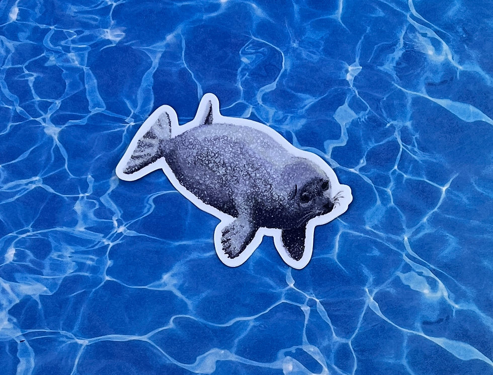 Thumbnail: Harbor Seal Sticker, Marine Animal Sticker, Cute Gift, Laptop, Ocean Lover