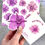 Thumbnail: Pink Fireweed Wildflower Collage Greeting Card