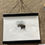 Thumbnail: Modern Wooden Magnetic Poster Frame in Black or Teak, quick framing solutions, 