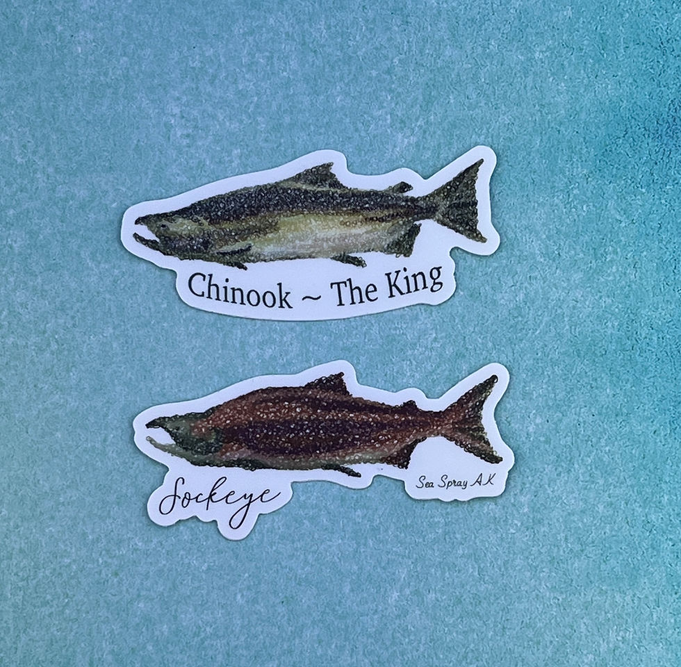 Thumbnail: Red Sockeye Salmon Vinyl Sticker, Fishing Sticker, Salmon Sticker, Alaska Gift