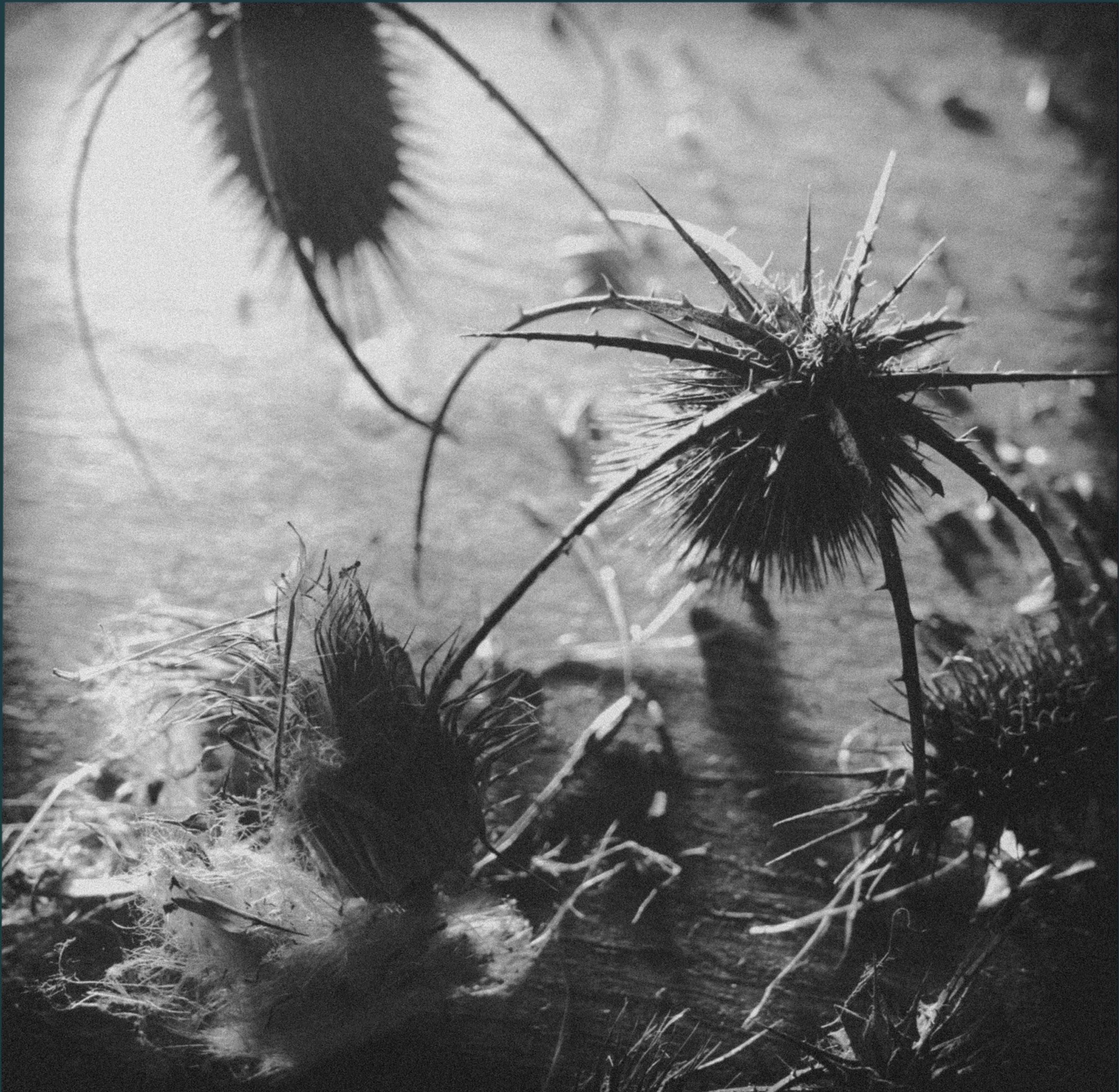 Wars of Abstraction - Digital Album Download Only