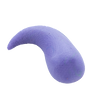 שלב_6.png