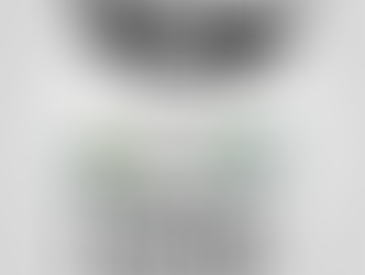 "Eu jamais conseguiria saber tudo que eles passaram até ali e passariam nos anos que seguiram&q